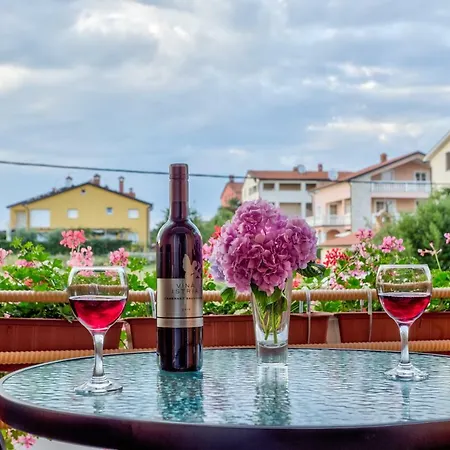 Contessa Novigrad Istria