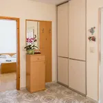Contessa Novigrad Istria