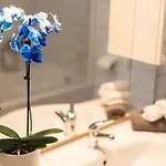Contessa Lägenhet