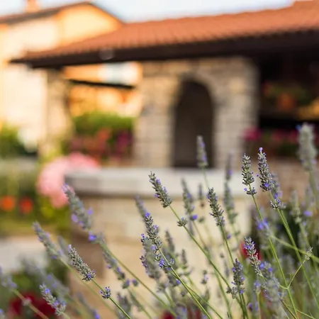 Apartament Contessa Novigrad (Istria)